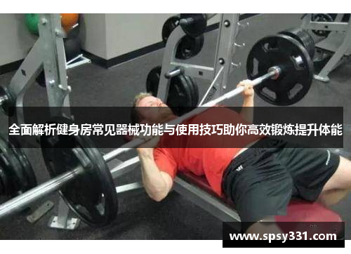 全面解析健身房常见器械功能与使用技巧助你高效锻炼提升体能