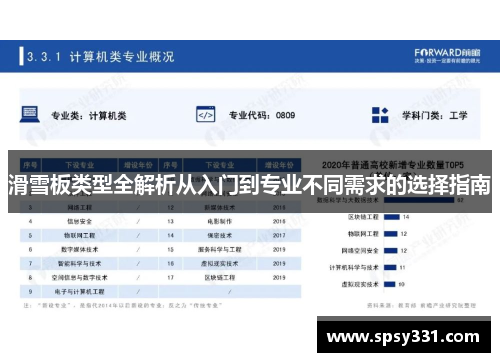 滑雪板类型全解析从入门到专业不同需求的选择指南