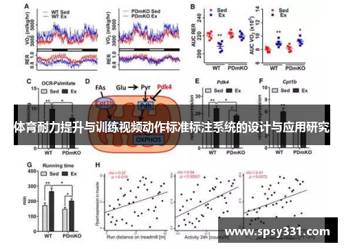 体育耐力提升与训练视频动作标准标注系统的设计与应用研究