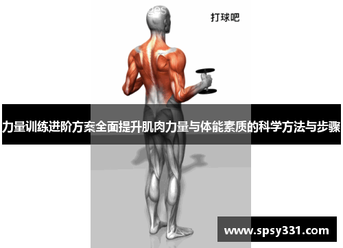 力量训练进阶方案全面提升肌肉力量与体能素质的科学方法与步骤